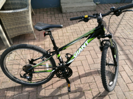 giant bicycles ireland